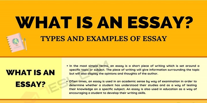 The book is a comprehensive essay writing guide