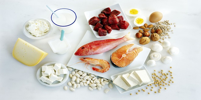 Types of Protein Diets