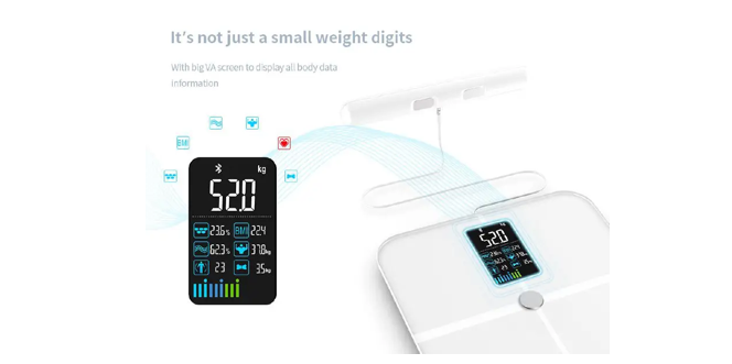 Why WELLAND Body Composition Scales are the Best Choice for Your Fitness Journey